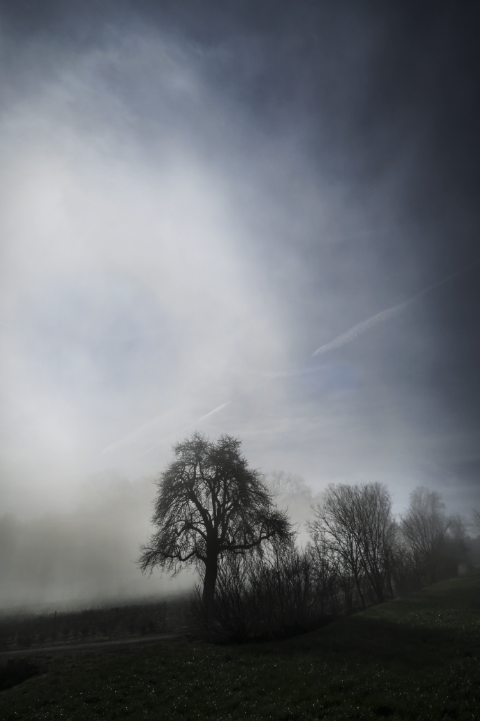 Nebel im AG_alanmeier.com_05
