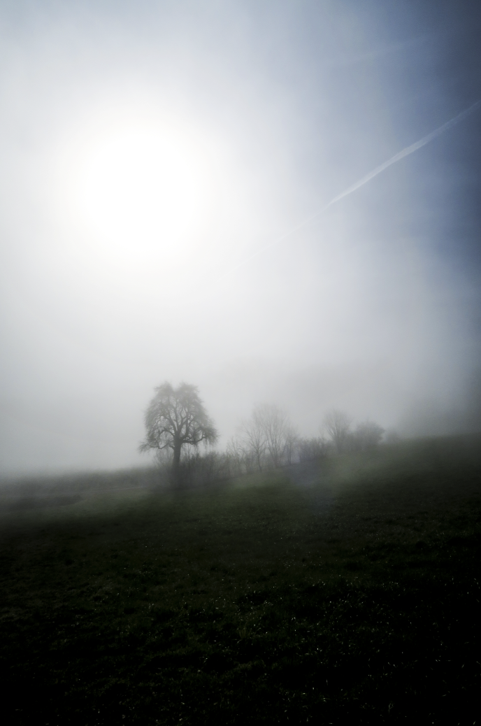 Nebel im AG_alanmeier.com_06
