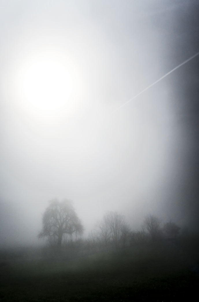 Nebel im AG_alanmeier.com_07